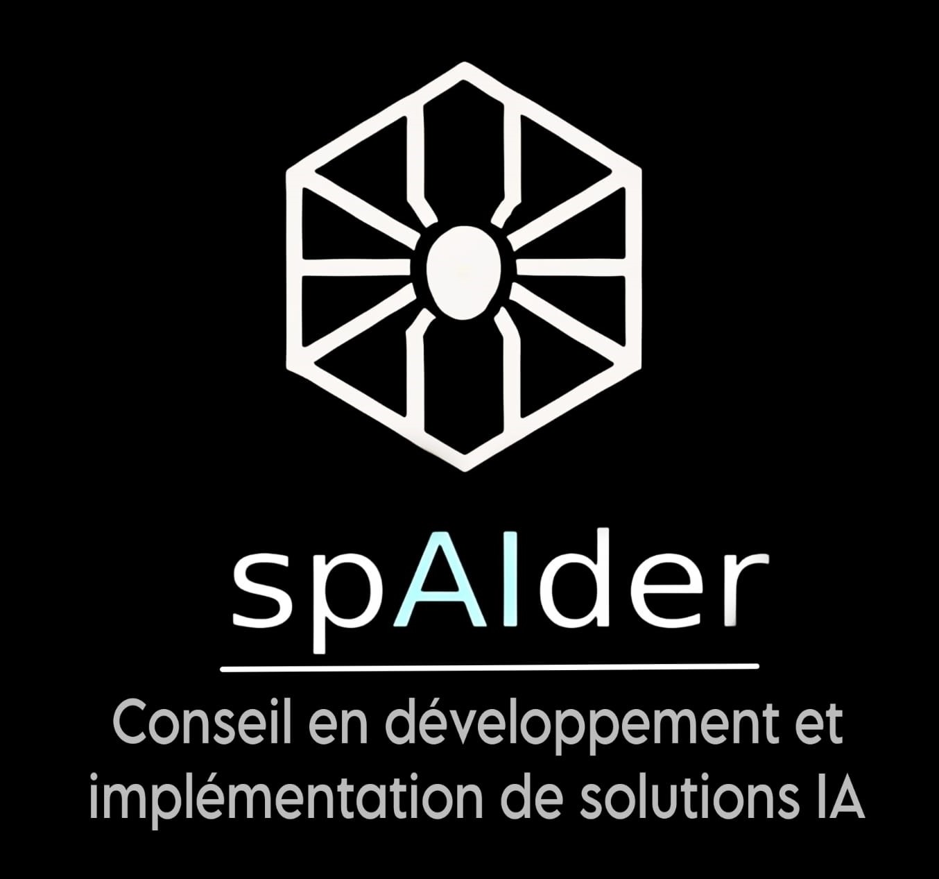 Spaider.co